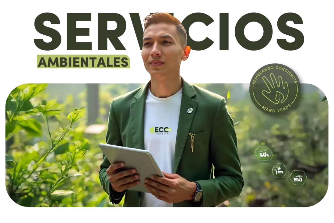Fondo Mano Verde